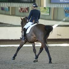 Dressage Riders and Trainers
